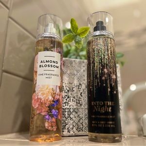 Into The Night BBW Fragrance